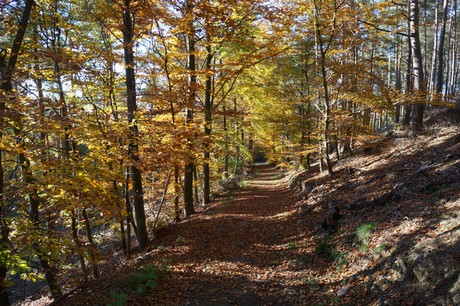 Bergstein