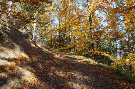 Bergstein