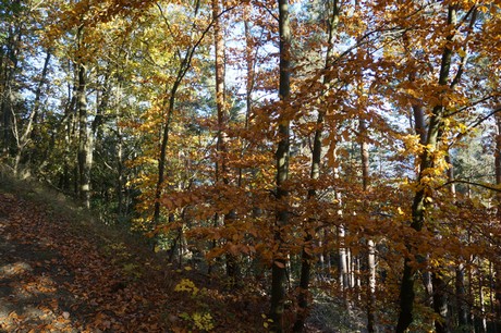 Bergstein