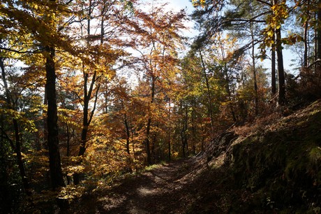 Bergstein