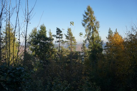 Bergstein