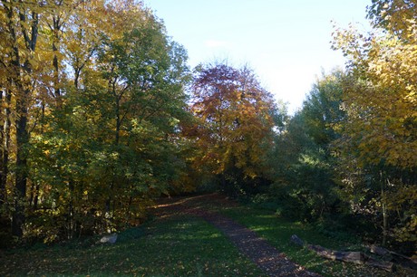 Bergstein