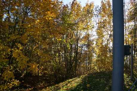 Bergstein