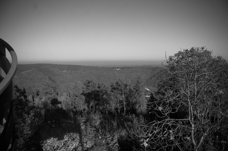 Bergstein