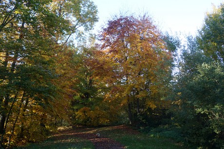 Bergstein