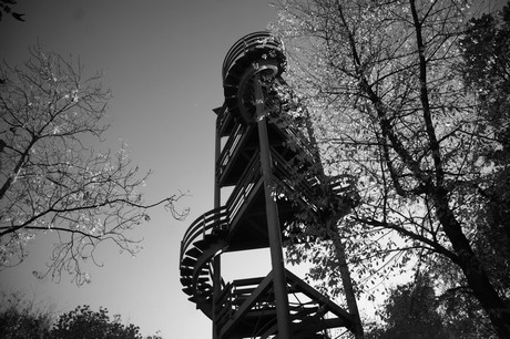Bergstein