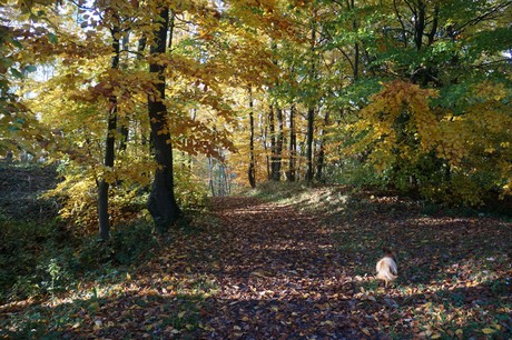 Bergstein