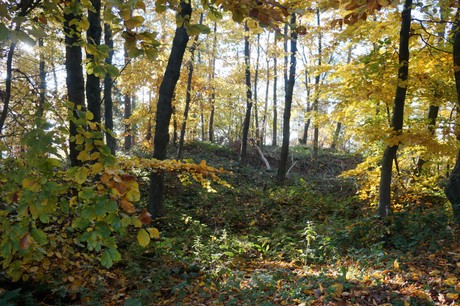 Bergstein