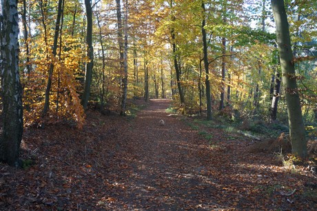 Bergstein