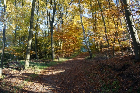 Bergstein