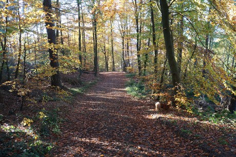 Bergstein