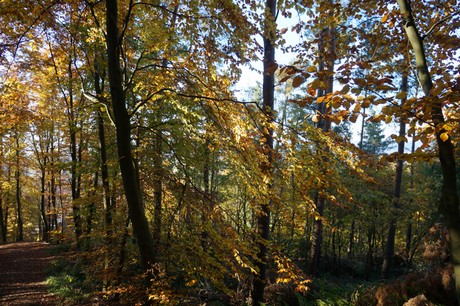 Bergstein