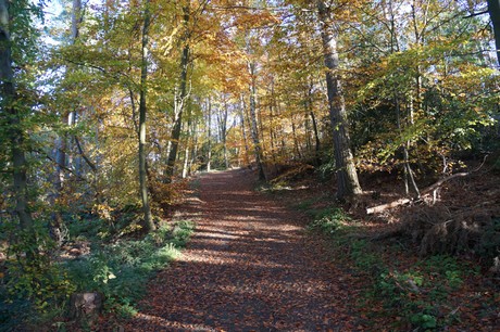 Bergstein