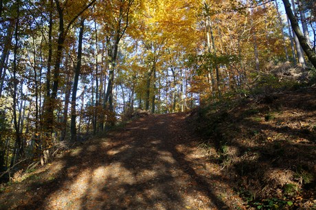 Bergstein