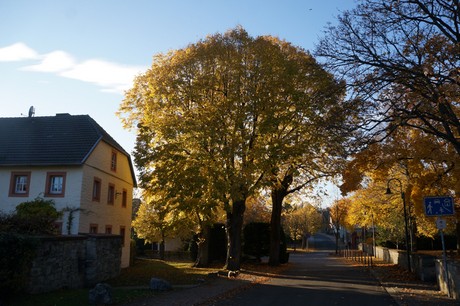 Bergstein