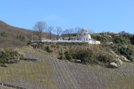 bernkastel-kues