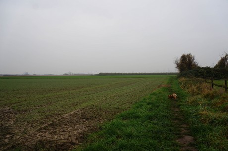 berzdorf