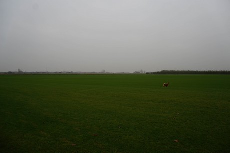 berzdorf