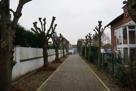 berzdorf