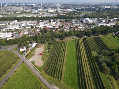 Berzdorf
