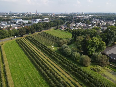 Berzdorf