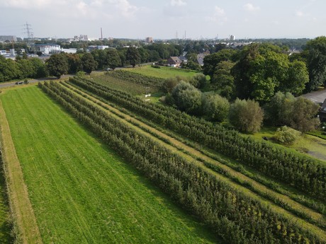 Berzdorf