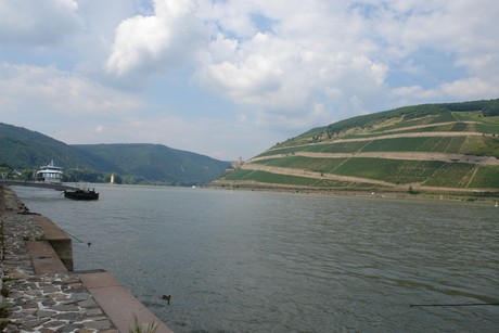 bingen-am-rhein