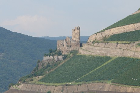 bingen-am-rhein