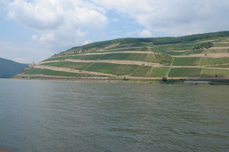 bingen-am-rhein