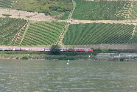 bingen-am-rhein