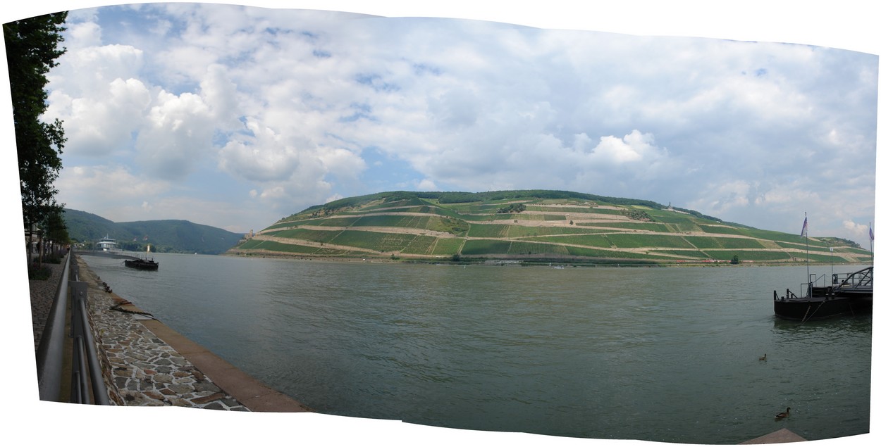 Bingen am Rhein