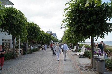 binz