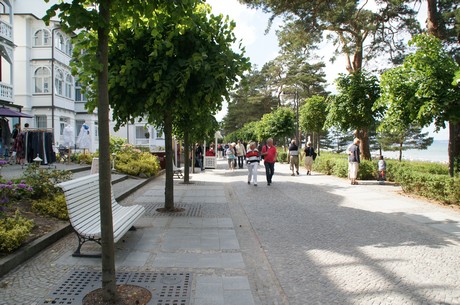 binz