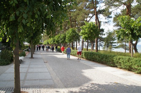 binz