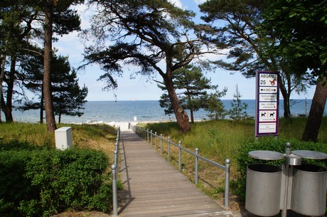 binz