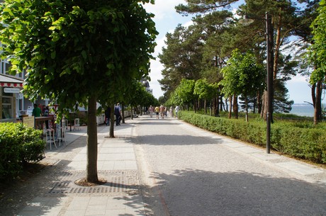 binz