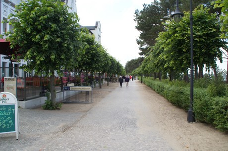 binz