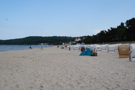 binz
