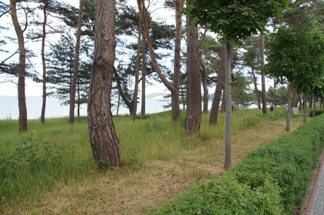 binz