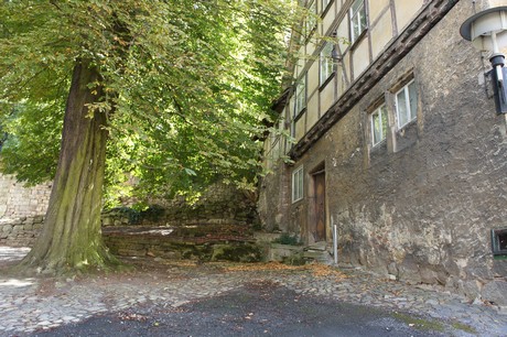 blankenburg