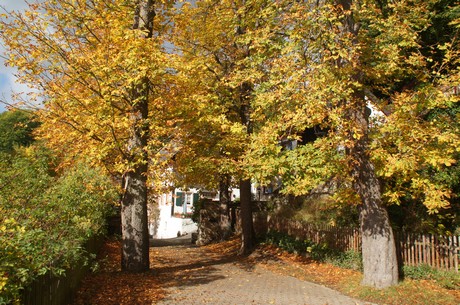 blankenheim