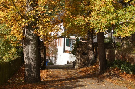 blankenheim