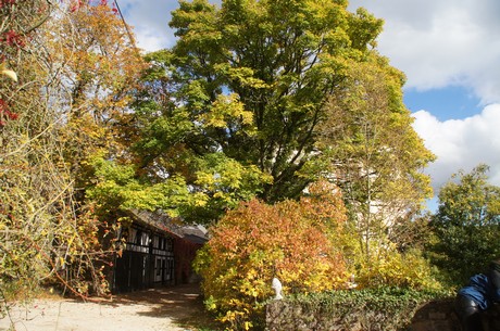 blankenheim