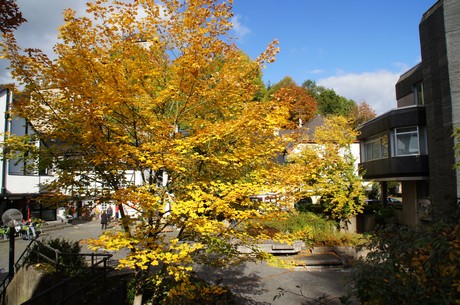 blankenheim