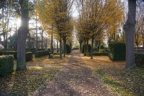 Blatzheim