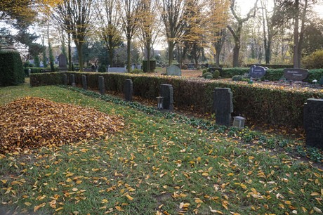 Blatzheim