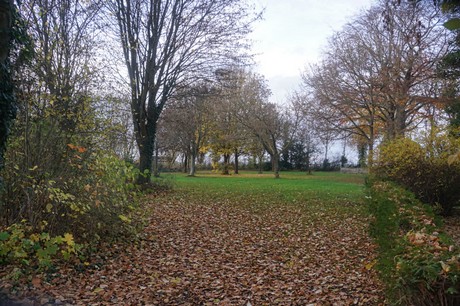 Blatzheim