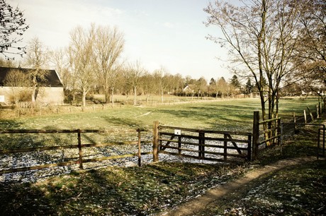 blatzheim