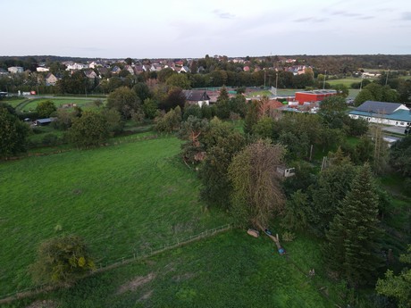 Bliesheim