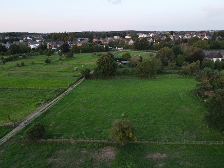 Bliesheim
